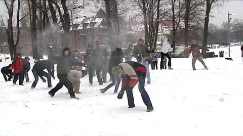 Bitwa na śnieżki we Wrocławiu