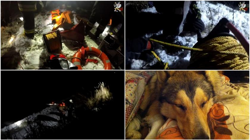 Akcja ratowania psa, pod którym załamał się lód