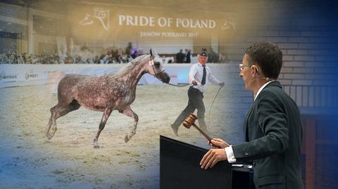"Pride of Poland" is back. The famous horse auction will keep its original name