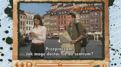 Test ma sprawdzić predyspozycje lingwistyczne Polaków