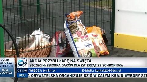 Akcja "Przybij łapę na święta - ratujmy zwierzęta!"