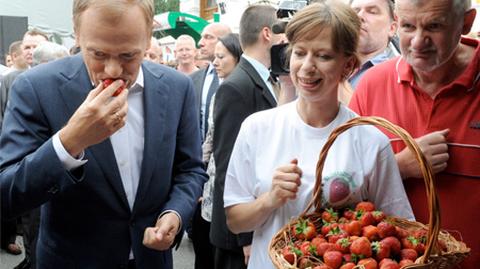 Donald Tusk na straganie