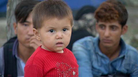 Reporter TVN24 o uchodźcach na węgierskiej granicy