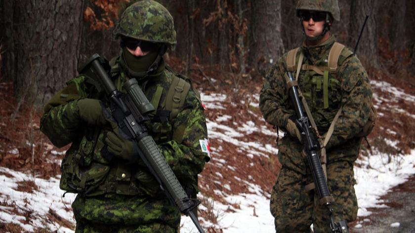Ukraińskich żołnierzy szkolą instruktorzy z USA, Kanady i Litwy