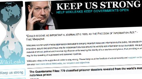 Polska w przeciekach Wikileaks