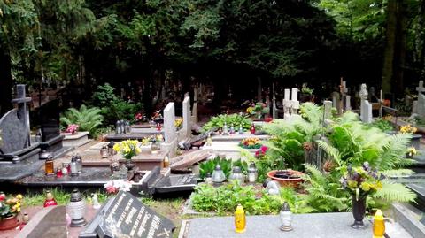 Zniszczyli 42 nagrobki na największym cmentarzu w Polsce 