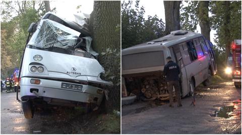 Wypadek w Balewie. Autobus uderzył w drzewo