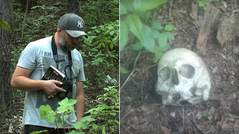 Ornitolog znalazł ludzką czaszkę