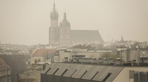 Program antysmogowy PSL. "Walka ze smogiem jest polską racją stanu"
