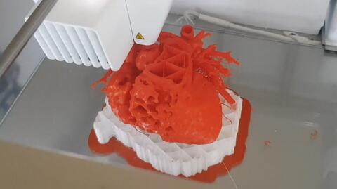 Chce drukować serce w 3D 