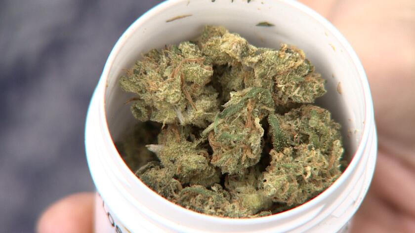 Medyczna marihuana zakazana