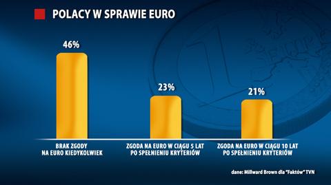 Co Polacy myślą o euro