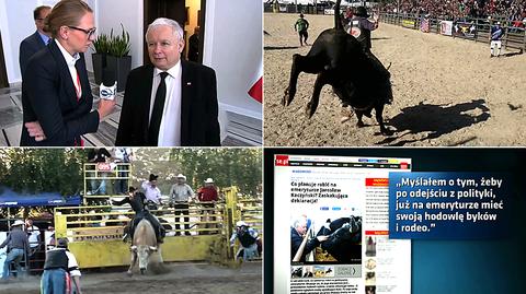 Kaczyński, byki i rodeo