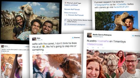 #Camelfie, czyli selfie z wielbłądem. Nowa moda w internecie