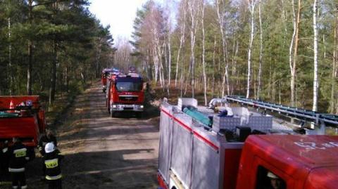 Płoną trawy na poligonie. "Na razie bez niekontrolowanych wybuchów"