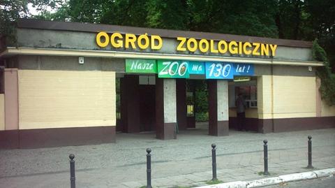 Władimir Putin w poznańskim zoo