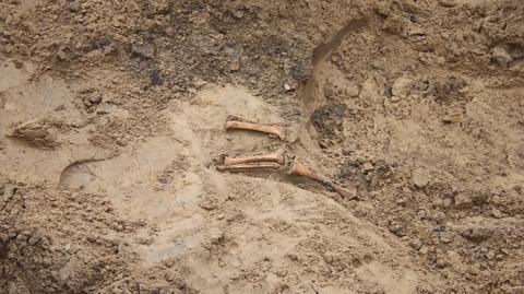 Szczątki zostały znalezione podczas remontu drogi