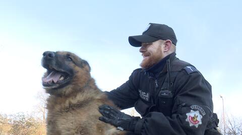 Pies Toro odchodzi na policyjną emeryturę
