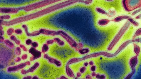Gwałtownie wzrosła liczba zachorowań na grypę