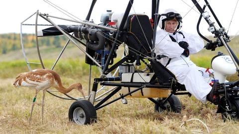Putin wykonał słynny lot z żurawiami we wrześniu 2012 roku