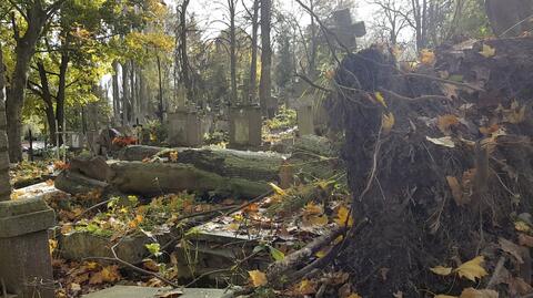 Cmentarz ucierpiał po orkanie. Połamane drzewa zalegają na grobach