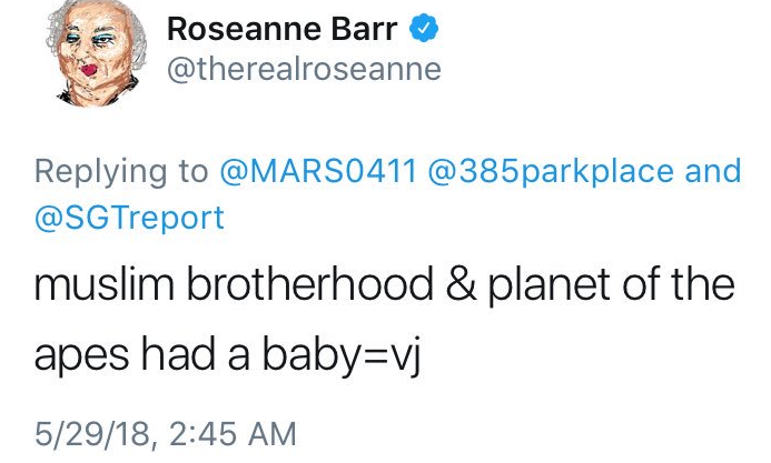 Roseanne Barr Rasistowski Komentarz Powodem Zawieszenia Serialu Tvn24