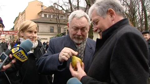 Gruszka "z wierzby" w prezencie