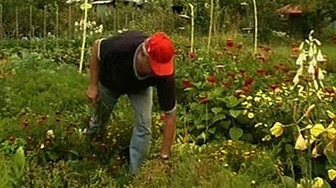 Rolnicy z województwa lubuskiego chcą ogłoszenia stanu suszy