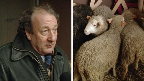 Prof. Keith Campbell, jeden z twórców owcy Dolly