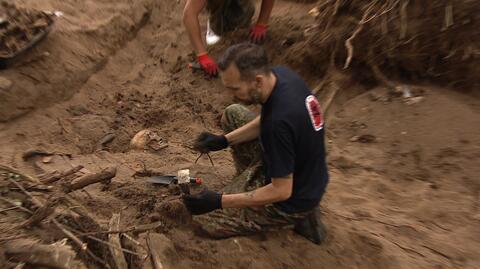 W Brójcach niedaleko Międzyrzecza znaleziono masowy grób z czasów II Wojny Światowej