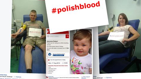 Polacy oddają krew w brytyjskich szpitalach