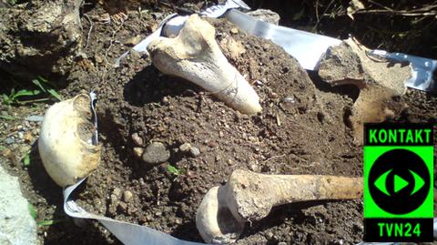 Ludzkie kości znalezione na śmietniku