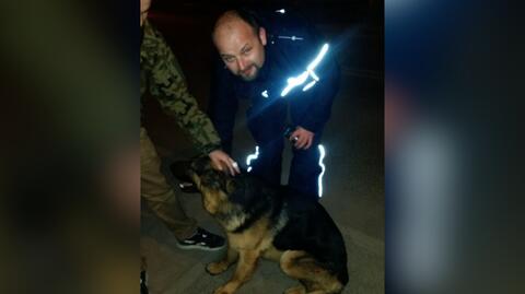 Policjanci pomogli psu wrócić do właściciela