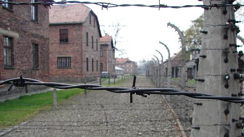 Muzeum Auschwitz-Birkenau od lat niszczą wandale. "To grzech obojętności i bezmyślności"
