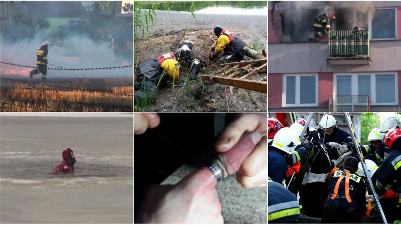 Międzynarodowy Dzień Strażaka Brawurowe Akcje Strażaków Tvn24 1017