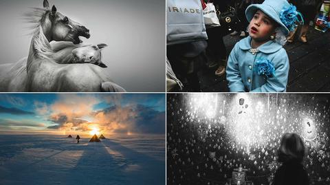 Zobacz najlepsze zdjęcia według "National Geographic Polska"