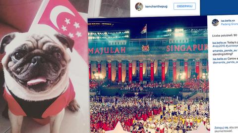 Kolorowe torty, przebrane psy, specjalne tatuaże. Uroczysty dzień niepodległości w Singapurze oczami internautów