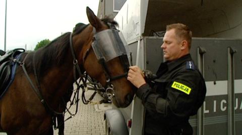 Tak policja dbała o porządek na Euro