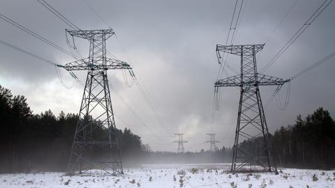 Poland plans to put Innogy power distributor on protected list