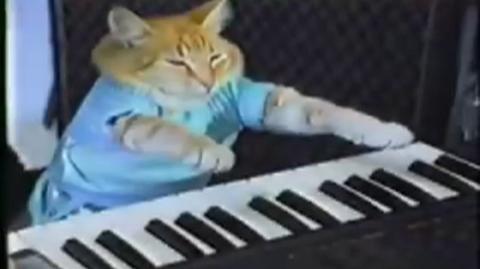 Charlie Schmidt's Keyboard Cat