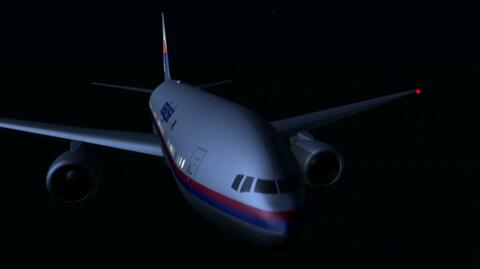 Co się stało z malezyjskim samolotem?