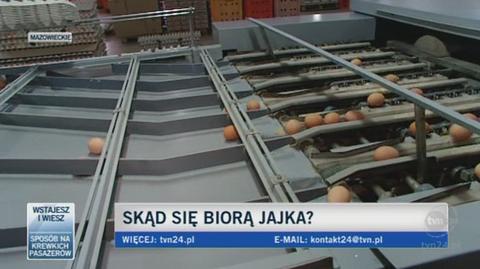 Jajka w sortowni (TVN24)