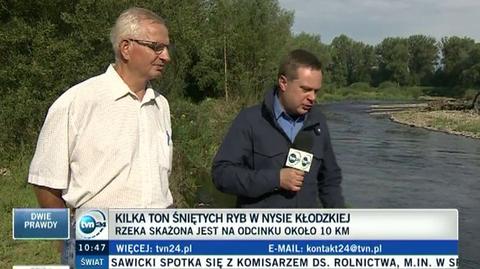 Kilka ton śniętych ryb w Nysie Kłodzkiej 