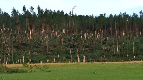 Połamane drzewa w miejscowości Łążek