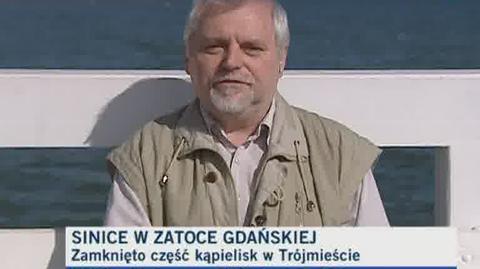 Prof. Marcin Pliński, biolog z Uniwersytetu Gdańskiego, o sinicach