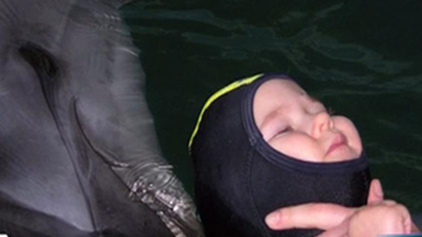 "Śpiew" delfina leczy chore głowy