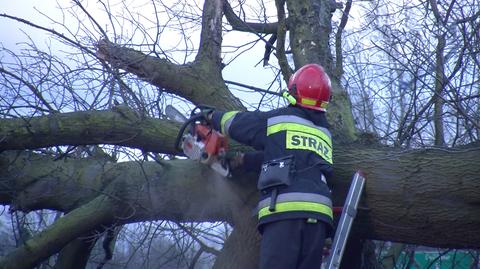 Straż: 1250 interwencji w ciągu ostatniej doby