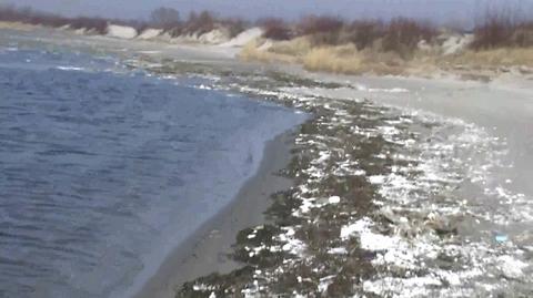 Styropian zaśmiecił plażę w Jastarni