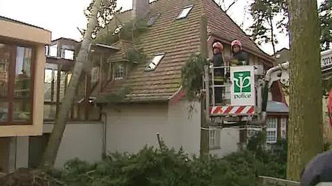 Usuwanie szkód po wichurze w Szczecinie