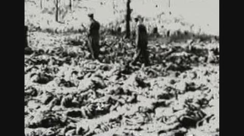 "W katyńskim lesie" - nazistowski film propagandowy o radzieckiej zbrodni / Z archiwum prywatnego Agaty Michałek Budzicz